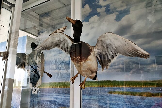 Self-Guided Birdwatching in Srebarna Reserve