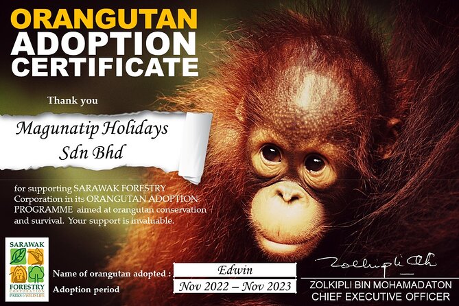 Semenggoh Orangutan Centre From Kuching - Important Information