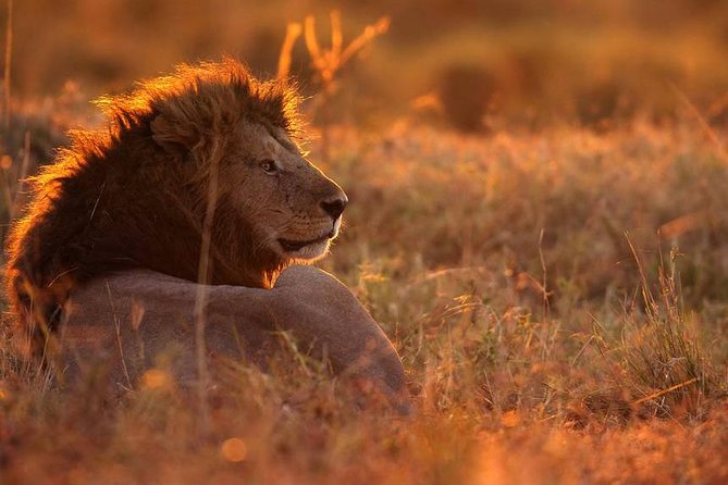 SERENGETI - 4 Days - Itinerary Overview
