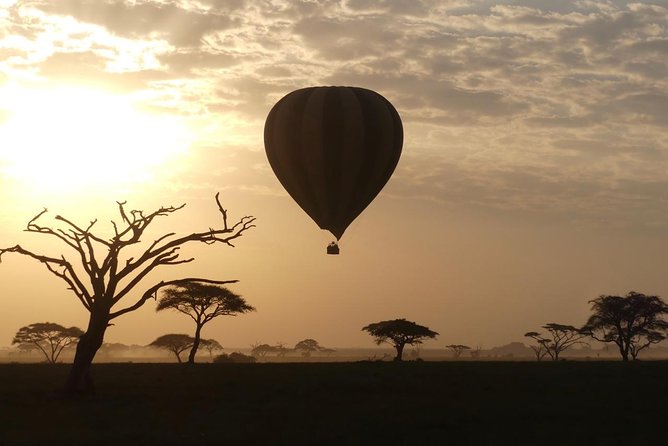 Serengeti Day Trip Tour From Mwanza - Meeting and Pickup Details