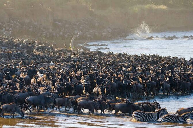 Serengeti Great Wildebeest Migration - 5 Days Tanzania Safari - Itinerary Highlights