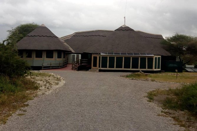 Serengeti Great Wildebeest Migration Luxury Safari: - Safari Highlights