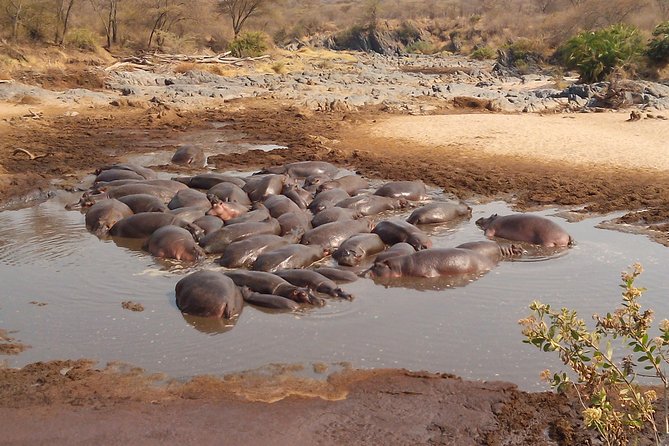 Serengeti National Park 4 Days Safari Camping