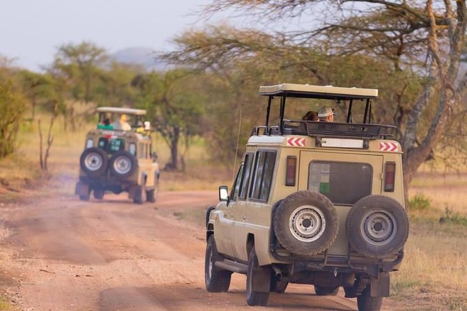 Serengeti National Park 7 Days Safaris Camping
