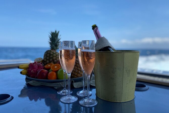 Seven Heaven Lux Yacht for a Day to Nusa Penida - Included Amenities and Services