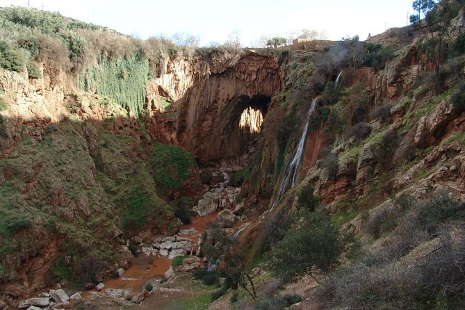 Shared Day Trip to Ouzoud Waterfalls From Marrakech - Tour Highlights