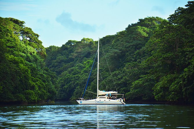 Shared EAST Cruise - Ile Aux Cerfs : Full Day Catamaran Cruise