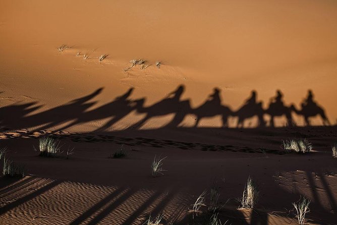 Shared Group Fez to Fez via Merzouga Desert Tour 2 Days/ 1 Night