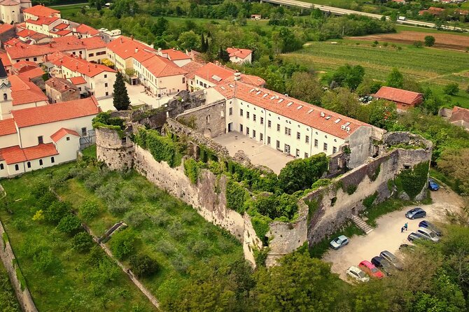 Shared or Small Group Wine Tasting Experience in Slovenia - Wine Tasting Activities