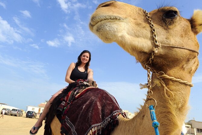 Sharm El Sheikh Quad ATV & Camel Safari With Bedouin Dinner - What To Expect During the Tour