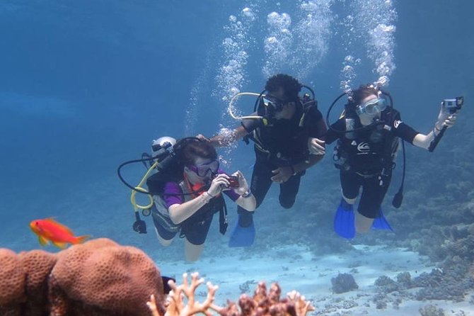 Sharm El Sheikh Relax Accommodation 8 Days – 7 Nights