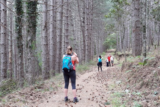 Shepherds’ Tracks Through Forests and Natural Springs