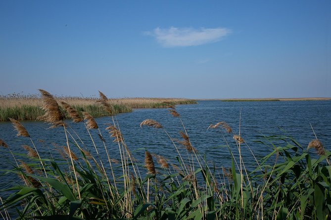 Shirvan National Park Tour - Amenities Included