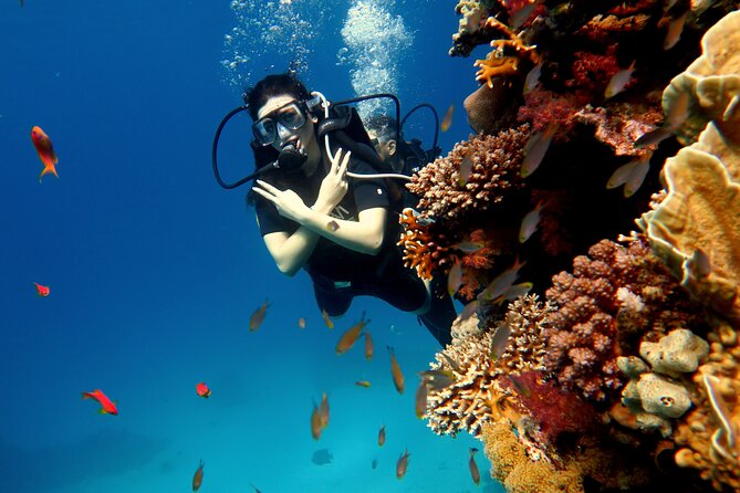 Shore Dives in Sharm El Sheikh Red Sea - Pickup and Transportation Details