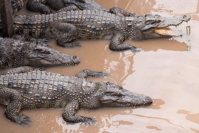 Siem Reap Lake-Side Village Tour - Tour Overview