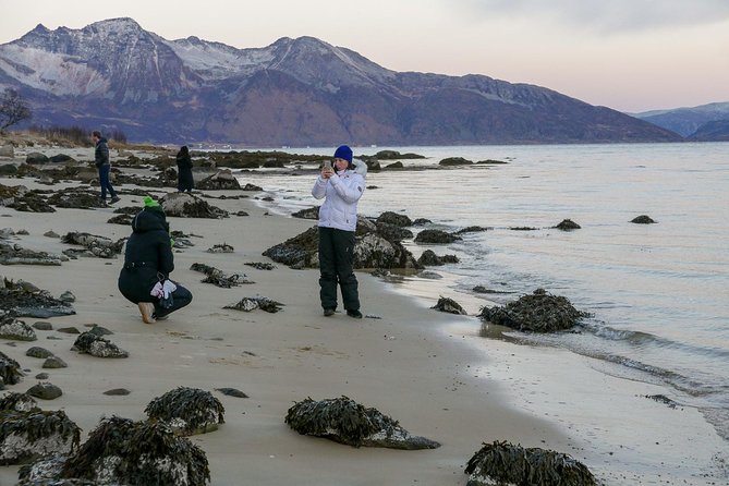 Sightseeing and Hike With Tromso Outdoor - Activity Overview