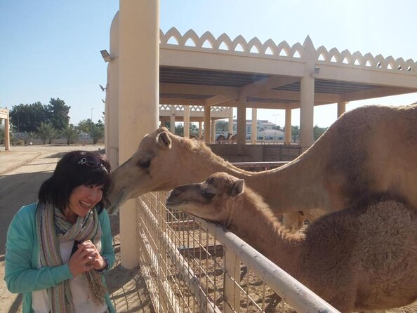 Sightseeing Tour in Kingdom of Bahrain -Private Tour Only - Customizable Itinerary