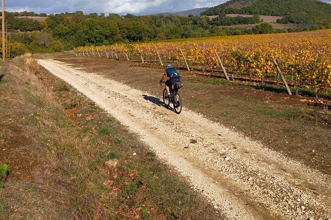 Sightseeing Tuscany by Touring Bike - 1 Day Rental - Meeting and Pickup Information