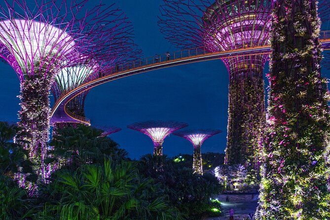 Singapore by Night Top Senic Sightseeing Private Tour - Pickup Information