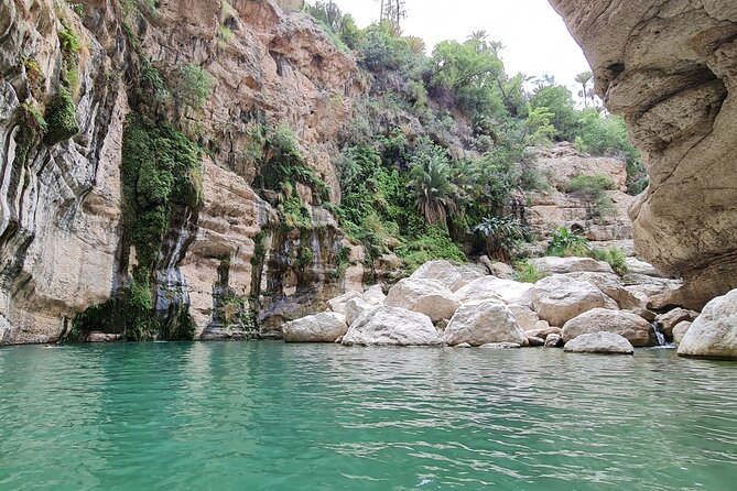 Sinkhole-Fins Beach & Wadi Tiwi Adventure - Tour Details