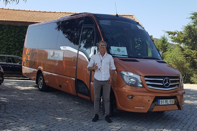 Sintra Private Luxury Transfer to or From Lisbon Airport - Accessibility Information