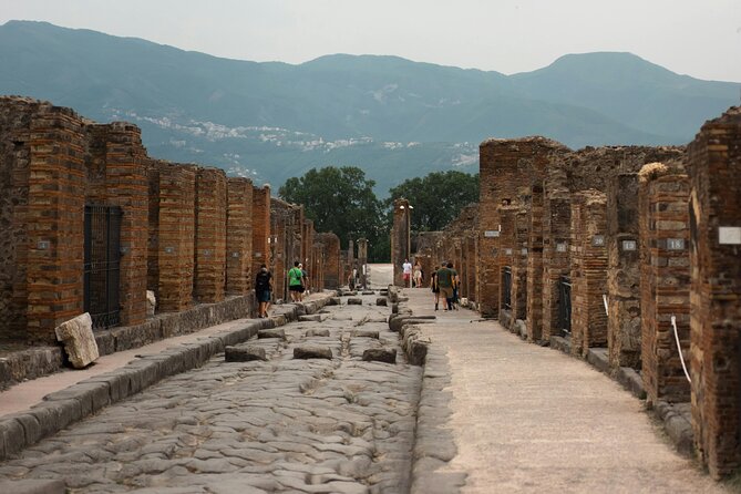 Skip the Line Pompeii Guided Tour With Archaeologist - Whats Included