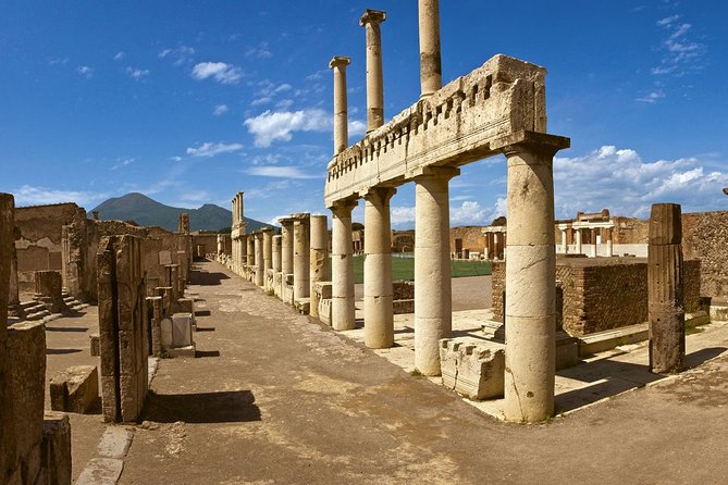 Skip-The-Line Pompeii Lunch&Winetasting From Naples Port - Tour Details