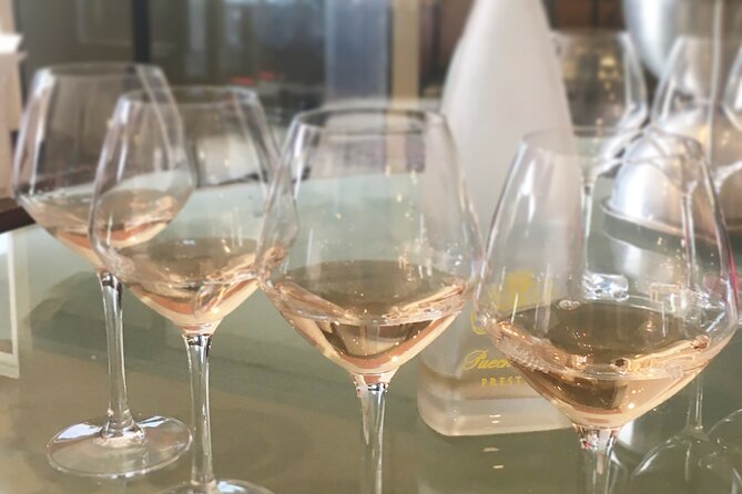 Small Group Half Day Camargue and Rosé Wine Tour From Montpellier