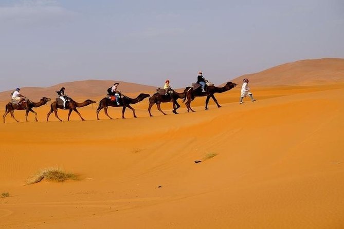 Small Group Marrakech Desert Fes 3days - Tour Overview