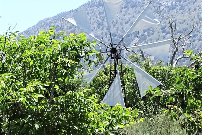 Small Group Tour to Lasithi Plateau Zeus Cave & Olive Oil Mill - Tour Overview