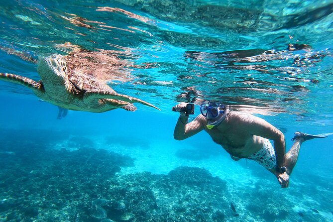 Snorkeling Adventure to Daymaniat Islands - Tour Inclusions