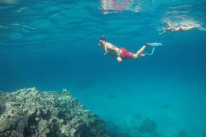 Snorkeling and Diving to Ras Mohamed And White Island by VIP Boat - Snorkeling Guide and Dive Instructor