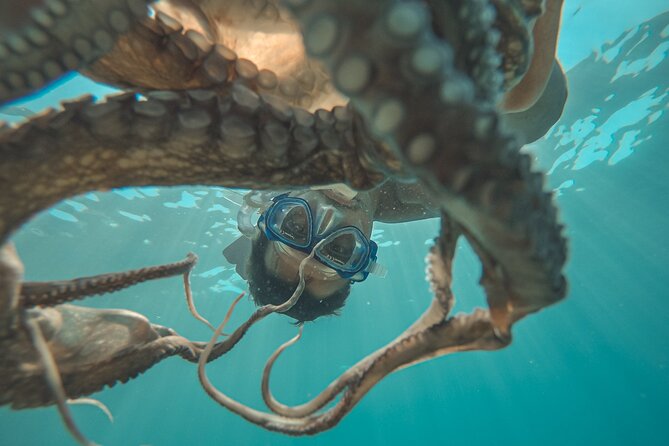 Snorkeling and Hiking With a Private Transport and Guide - Additional Information and Accessibility