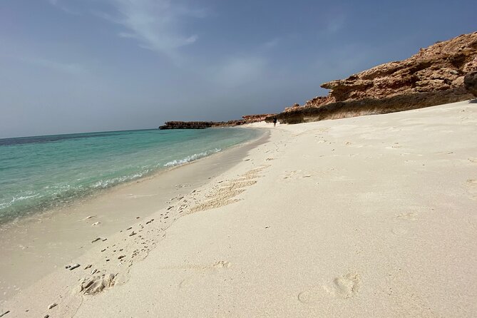 Snorkeling at Dimaniyat Islands and Dolphin Watching - Activity Inclusions