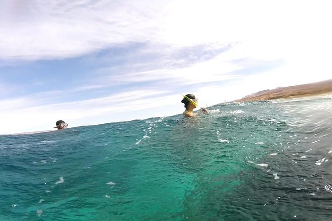 Snorkeling for a Clean Sea Experience - Private Transportation and Equipment Provided
