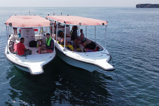 Snorkeling Trips to Daymaniat Islands Sharing Trip - Trip Details