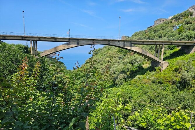 Sorrento: Gastronomic Tour by E-Bike and Visit to Acetaia - Tour Overview