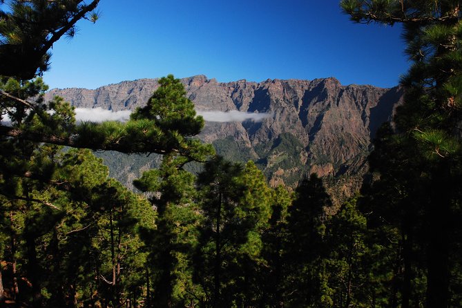 Special Cruise Tour Center and South La Palma (Price per Car Not per Person) - Tour Details