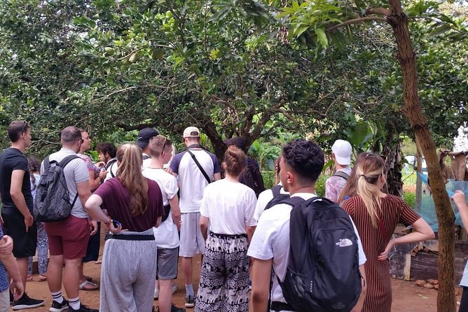 Special for Holland America Line Guests to Zanzibar - Booking Information Details