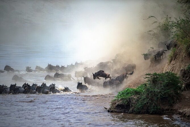 Spectacular Serengeti Migration Safari
