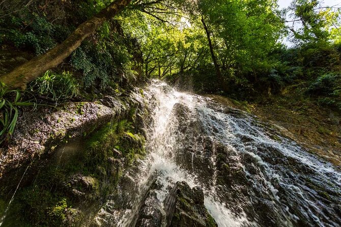 Spend Your 1 Day Inside of Mountain and Forests at Gabala
