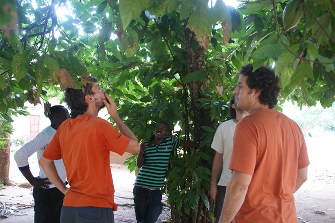 Spice Tour & Prison Island - Inclusions and Experiences