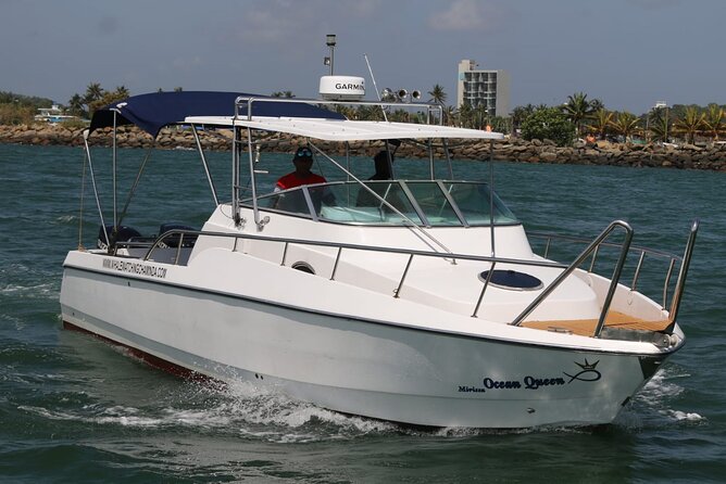 Sports Boat- Private Whale Watching Trip( Free Breakfast & Paid Pick-Up)