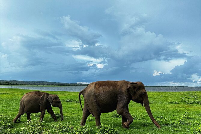 Sri Lanka Personal Tour Driver in Private Vehicle - Tour Overview