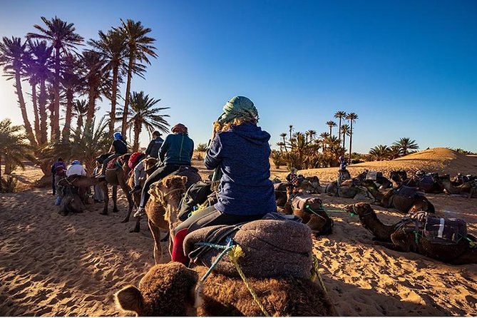 Sunset Camel Ride in Agadir