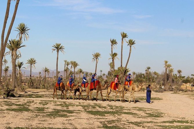 Sunset Camel Ride Tour In Marrakech Palm Groves - Tour Location