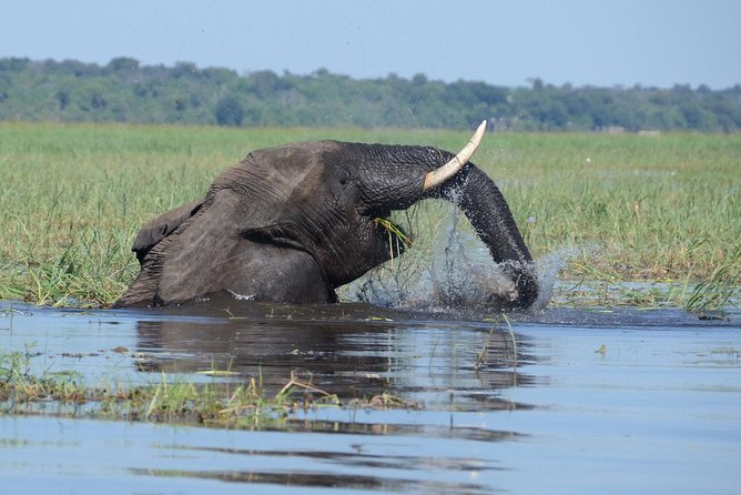 Sunset Cruise on Chobe River With Hotel Pickup From Kasane - Experience Highlights