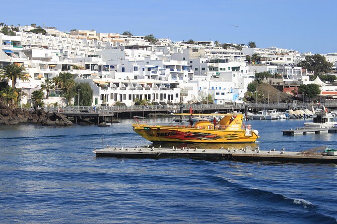 Sunset Dolphin Watching Trip on Board the Biosfera Jet - Experience Highlights