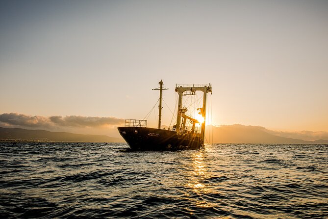 Sunset Kayak Tour to Kissamos Bay Shipwreck & Exclusive Beach - Sunset Beach Experience