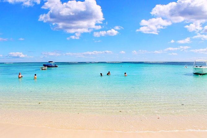 Swim With Wild Dolphins and Visit 4 Beaches in the North
